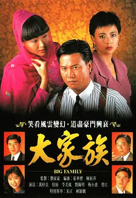 大家族第13下集